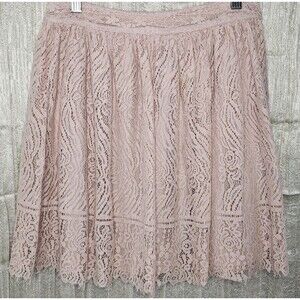 Dusty Rose Lace Skater Skirt XS 26 Waist Lined Poetcore Coquette Flare Mini